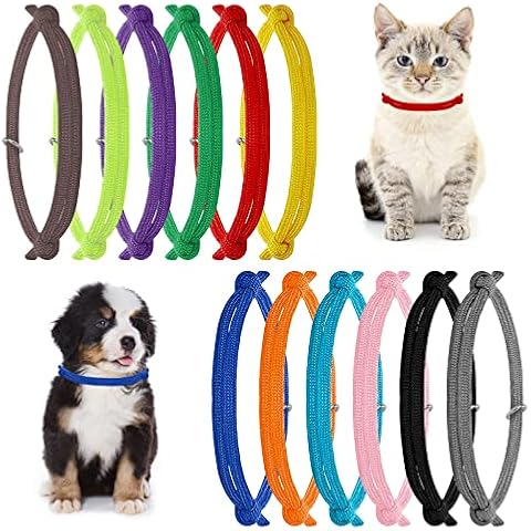Molain Collares de identificación para Cachorros de Gatito Cover