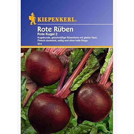 Kiepenkerl Rote Beete Rote Kugel 2