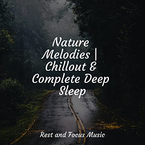 Nature Melodies Chillout & Complete Deep Sleep by Healing Sounds for
