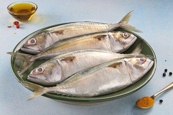 Naik Mackerel/Bangda/Ayila/Aila| 500 g | Frozen