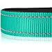 Joytale Halsband Hund, Gepolstertes Hundehalsband Breit aus Neopren Nylon Hundehalsband Verstellbar für Mittelgroße Hunde, Weich und Reflektierend Hundehalsbänder, M, Türkis