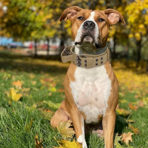 Image of Qpets Brown Dog Collar, Nylon Tactical Dog Collar for Large Dogs with D Ring & Handle Adjustable Dog Neck Belt with Reflective Safety Strip Dog Training Walking Collar (XL, 55-150lbs),29.5x4 cm