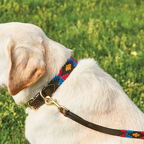WeatherBeeta Polo Leather Dog Collar, Beaufort Brown/Pink/Blue, Small - Image 4