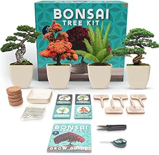 Indoor Bonsai Tree Kit - Bonsai Tree Starter Plant Kit + Bonsai Seeds Gift Sets - Arts and Crafts DIY Kits for Adults, Unique Gardening Gifts for Women & Men, Plant Lovers Gift Gardening Craft Kits