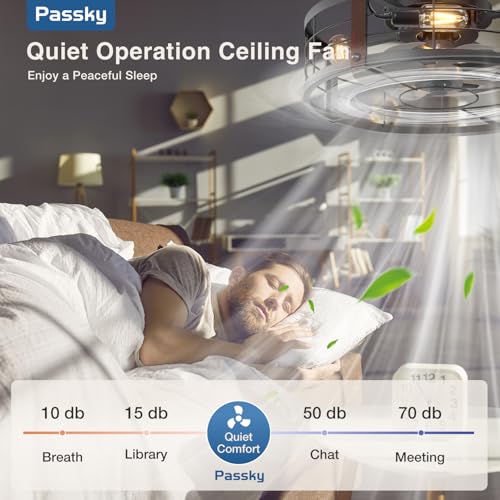 Image of Passky 20 inch Farmhouse Flush Mount Ceiling Fans with Lights and Remote, Industrial Black Caged Low Profile Fandelier, 6 Speeds Bladeless Ceiling Fan for Bedroom, Kitchen, Living Room