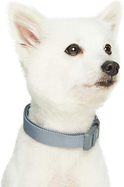 amazon uk dog collars