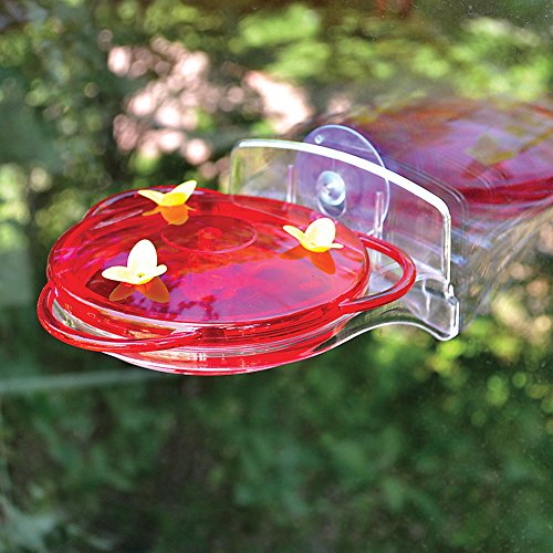 More Birds 30 Classic Brands 3-In-1 Humming Bird Feeder, 6 Fl Oz , Red #TOP2