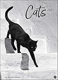 Cats Edition von Monika Wegler - großer Foto-Wandkalender 2021 mit stimmungsvollen Katzen-Schwarz-Weiß-Fotografien - Format 49 x 68 cm
