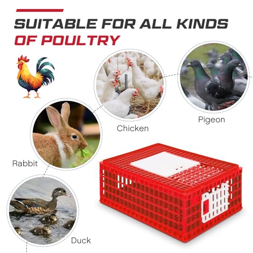 Image of GlikCeil 2 Pcs Poultry Carrier Crate 3 Door Chicken Duck Transport Cage Plastic Poultry Carrier Basket Box for Chicken Duck Goose Birds, 29.53 x 21.65 x 11.42 Inch(Red)