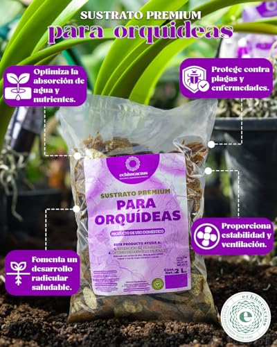 La mejor comparación de Orquideas . 3 La mejor comparación de Orquideas . 3