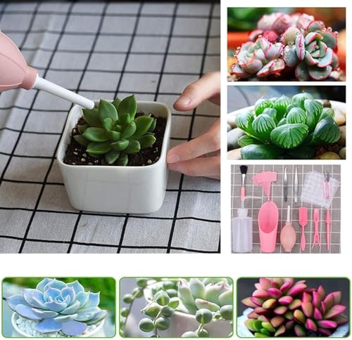 Set 16 Piezas Mini Herramientas Jardín para Suculentas miniatura 4