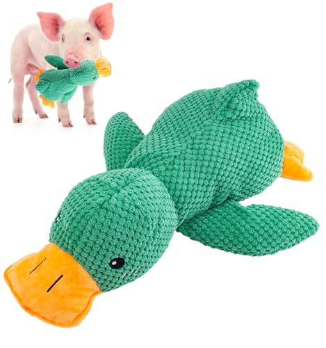 Squeaky Duck Chew Toy