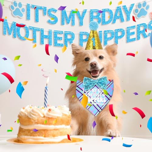 Shinylin 4 peças para decoração de festa de aniversário para cães, bandana de aniversário, chapéu de