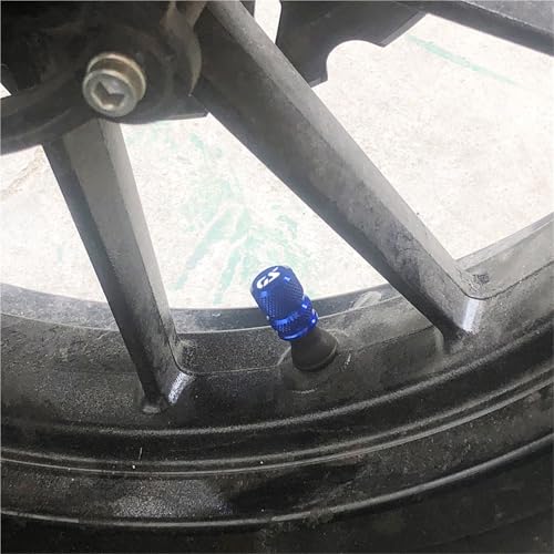 Tapas para vástago de válvula que evitan la pérdida de aire en BMW R1250GS 3