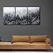 wall26 - 3 Piece Canvas Wall Art - Misty Forests of Evergreen Coniferous Trees in an Ethereal Landscape - Modern Home Art Stretched and Framed Ready to Hang - 24