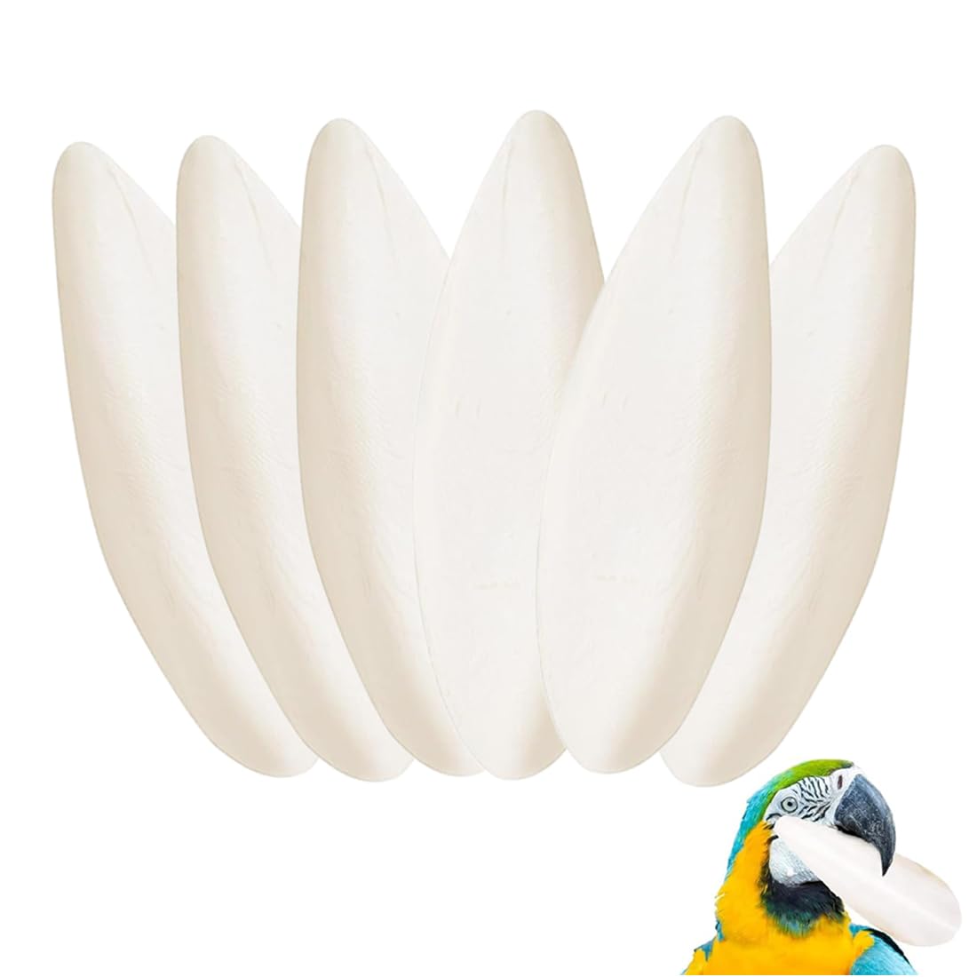 6 Pezzi Seppia Uccelli Masticare Giocattoli pappagalli Giocattolo da Masticare Seppia Ossa per Tartarughe, Uccelli, lumache, 11-13 cm