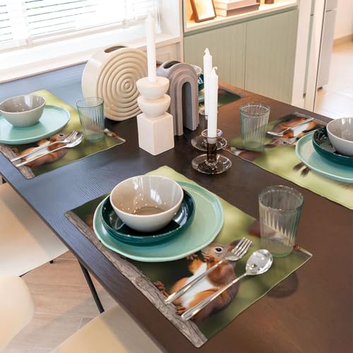 Sets de table en lin synthétique de qualité supérieure lot de 4 - 7