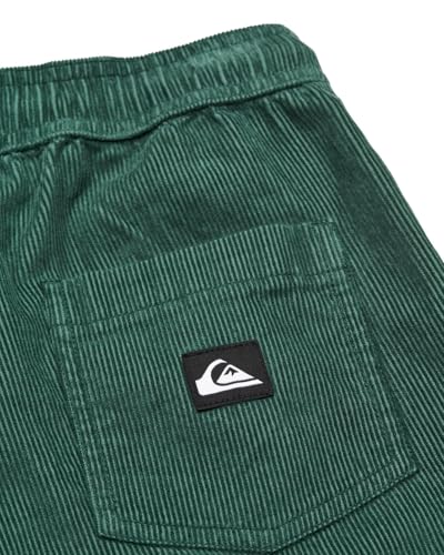 Pantalón Quiksilver Taxer de pana para niños con cintura ajustable 5