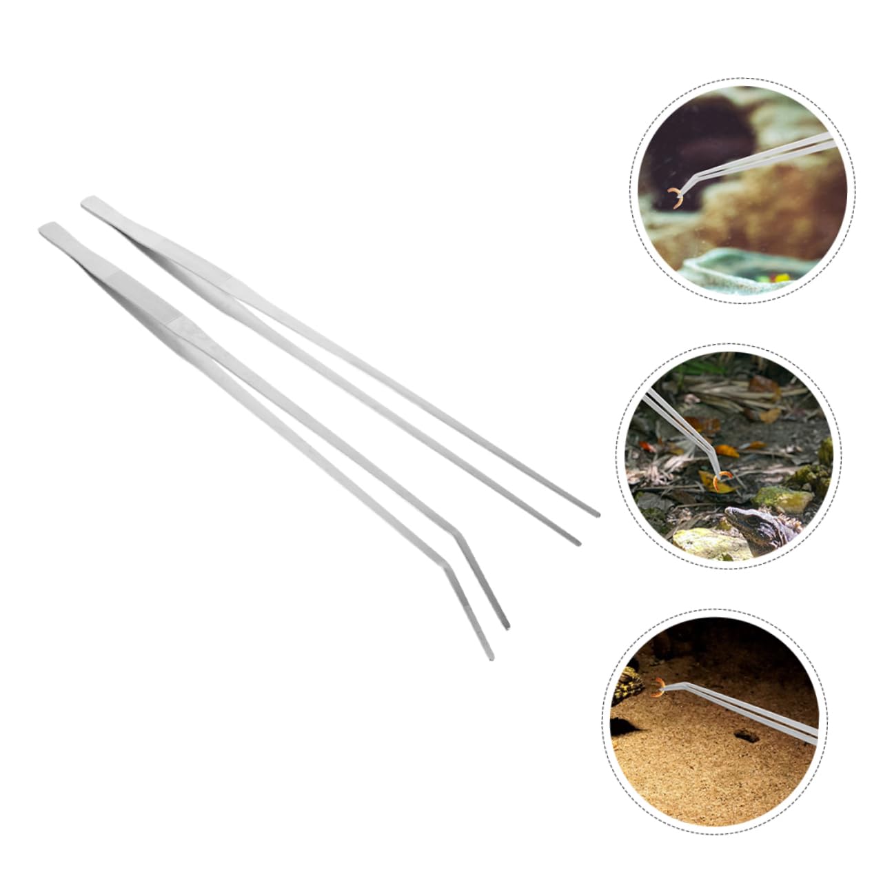 HANABASS 10piezas De Alimentación para Reptiles De Metal Cabezas Recta y Curva Herramienta Práctica para Acuarios y Terrarios Diseño Antideslizante y Duradero para Alimentar Facilidad