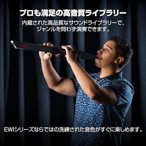 Akai Professional EWI 5000 ウインドシンセサイザー の商品画像 2