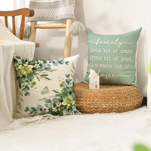 Coussin vert eucalyptus pour déco canapé nature et salon chaleureux - 3