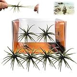4Pcs Sea Urchin Soft Bait, Realistic Fuzzy Dice Fishing Lure,Floating TPR Swimbait with Reflective Stars, Plastic Baits for Bass Fishing,Drop Shot,Wacky Rig/Neko Rig & Finesse,Slow Sinking