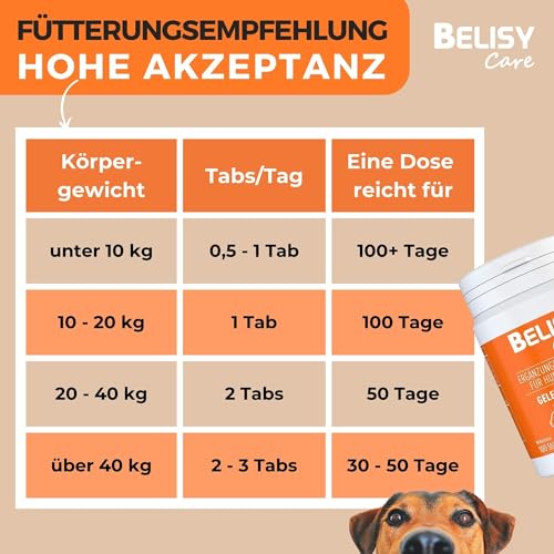 BELISY natürliche Gelenktabletten für Hunde - mit Grünlippmuschel, Glucosamin, Teufelskralle & MSM - Gelenk & Knochenschutz Tabletten für Hunde Gelenk Komplex (150g)