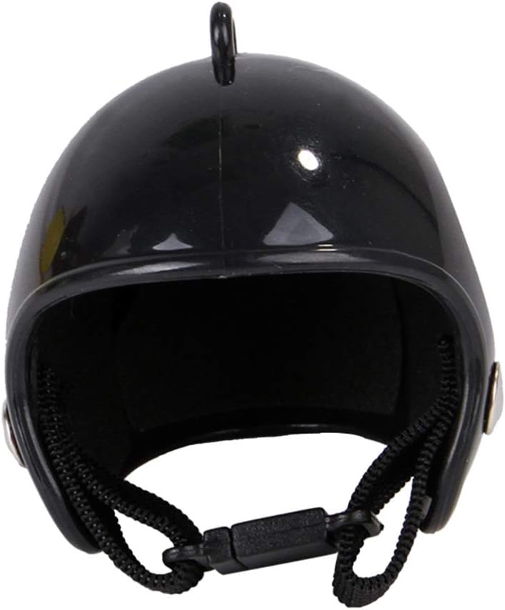 casco protettivo per cani