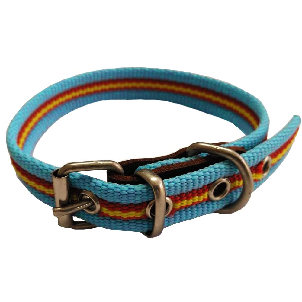 Collar de Perro Bandera de España de algodón Azul Claro 40 cms | Collar Liso para Perro Mediano | Collar de algodón. Resistente a tirones y climatología. Collar Azul Claro Rojo y Amarillo.
