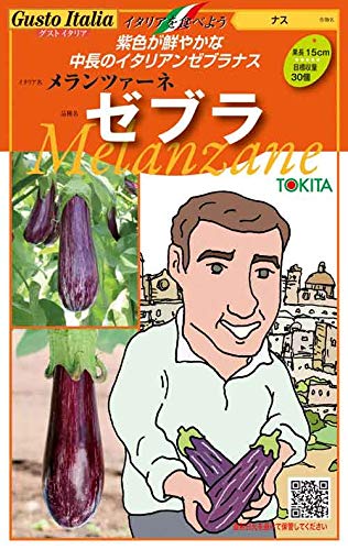 Amazon.co.jp: 【種子】 Gusto Italia ナス メランツァーネ ゼブラ