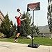 Lifetime Height Adjustable Portable Basketball Hoop, 44 Inch Backboard, Black/Orange
