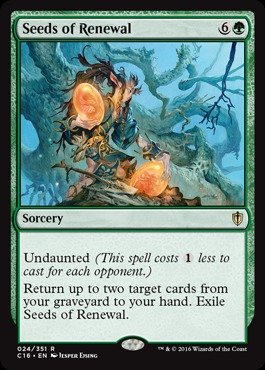 Magic The Gathering - Seeds of Renewal (024/351)