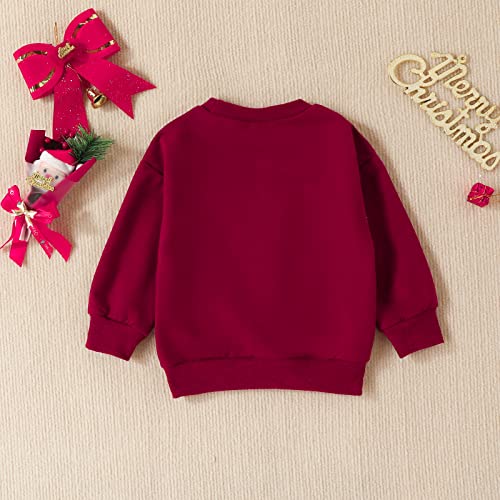 Image of Baby Boy Girl Pumpkin Sweatshirt Tops Toddler Halloween Outfit Long Sleeve Crewneck Pullover Sweater Shirt Fall Clothes