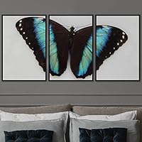 3 Piece Framed Canvas Wall Art Colorful Butterfly Insects Canvas Prints Home Artwork Decoration for Living Room,Bedroom - 16