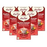 YOGI TEA® 6x Positive Energie Cranberry Hibiskus Bio Yogi Tee I ayurvedischer Chai-Gewürz-Tee I Schwarztee-Mischung mit Mate Guarana I Bio-Qualität - 6x 17 Tee-Beutel I Assam-Tee 6 Päckchen