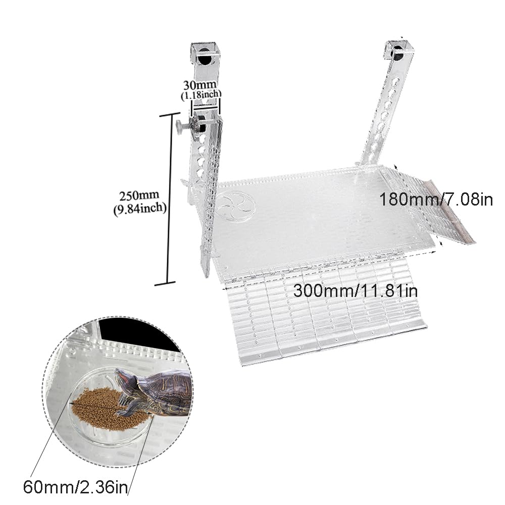 Photo inspiration: Fresh Look at Snapklik Com Hanging Turtle Basking Platform Multifunctional Acrylic