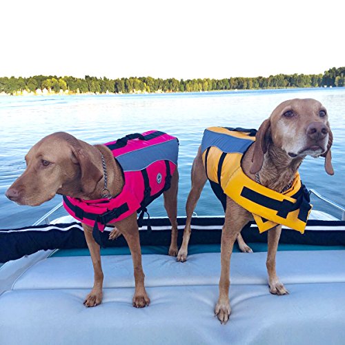 Best Life Jackets (PFD) For Dogs 2022 » The Paddleboard Nerd
