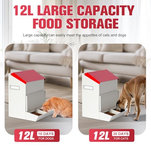 Mangeoire automatique pour chat 2 chats programmable à double compartiment