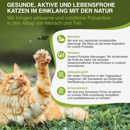 bogaprotect SPOT ON für Katzen - Zecken und Flohmittel Katzen - 1.5-4 kg - Mittel gegen Katzenflöhe & Zecken - Katzen Flohmittel - UBO0355 - Vorrat für 12 Wochen