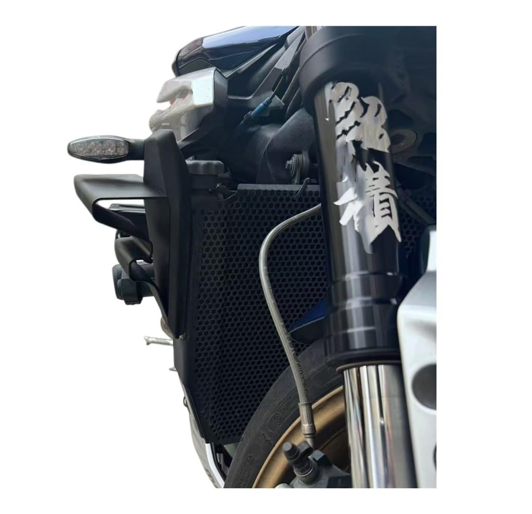 Destra Sinistra Carenatura Accessori Spoiler Carenatura Laterale Ala Per Street Triple 765 R RS 2025 2024 2023 Motociclo Modifica Accessorio
