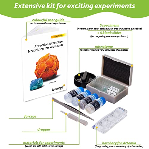 image for Levenhuk LabZZ M101 Lime Microscope, Lime, 69059, Purple