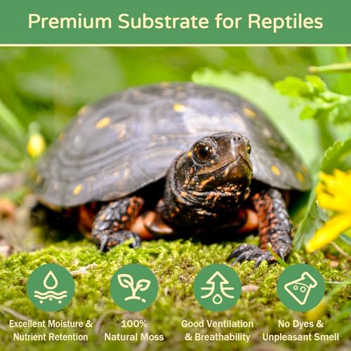 Riare 1.1LB Premium Sphagnum Moss for Reptiles- 25QT Natural Reptile Moss Dried, Forest Live Moss for Terrarium, Frogs Snake Peat Moss Bedding for Leopard Gecko Turtle Anoles Salamanders Orchid - Thumbnail 3