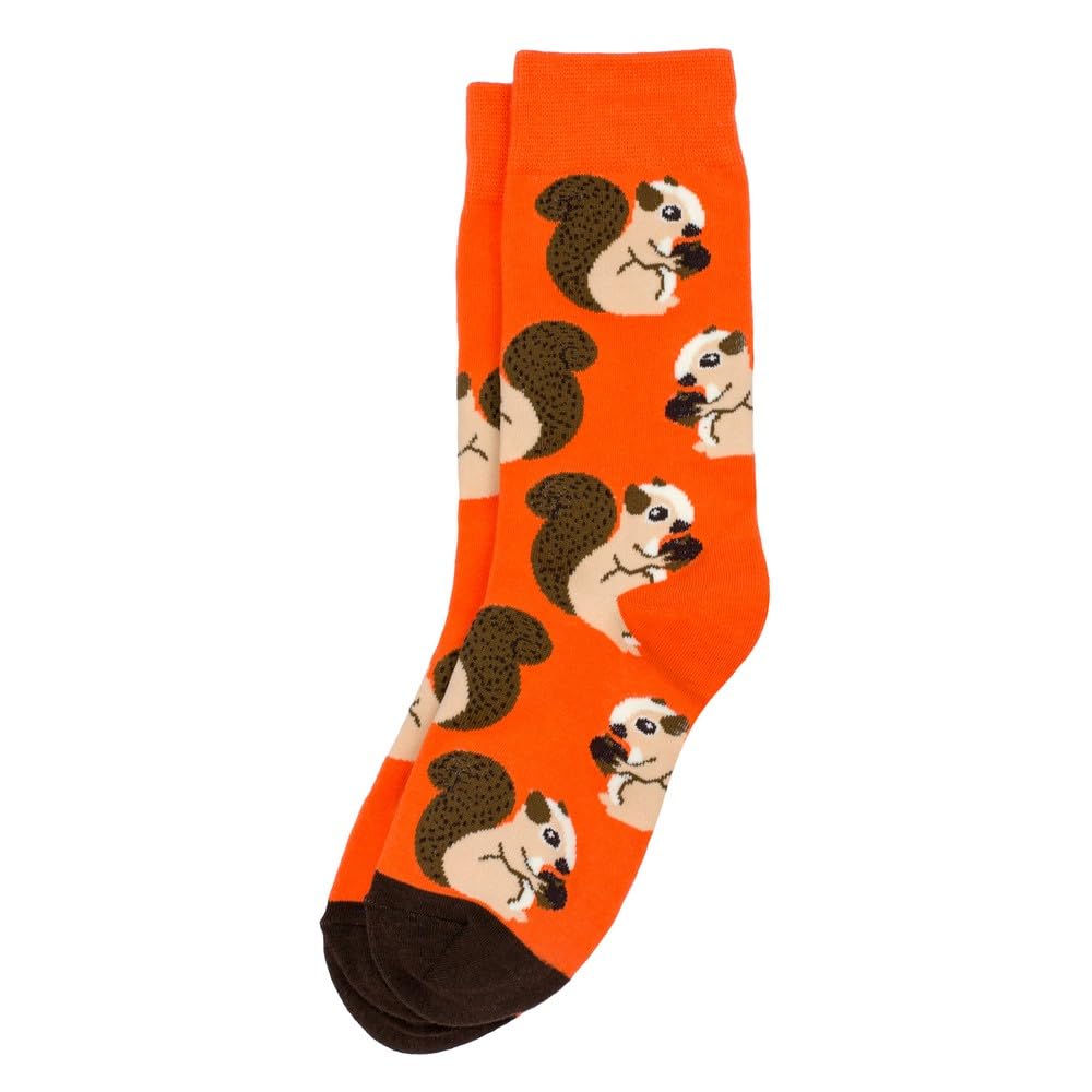 Joe Cool Orange Socks Cotton & Spandex Squirrel Hibernation By