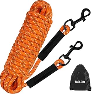Taglory Training Lead for Dogs 15m, Reflective Long Dog Rope Tie Out, Dog Tether for Small Medium Large Dogs, Orange