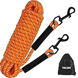 Taglory Schleppleine 20m für Hunde, Hundeleine mit 2 Karabinerhaken, Trainingsleine für Kleine bis Große Hunde, Orange