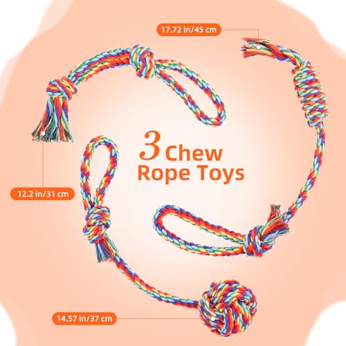 Tivray Bungee-Ziehspielzeug für Hunde, Outdoor-Hundespielzeug zum Aufhängen mit 3 Kauseilen, Interaktives Zugseil für kleine, mittlere & große Hunde zum Spielen & Trainieren am Baum, Schwarz+Grau