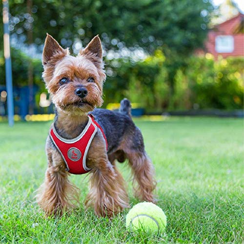 Kruz PET KZA306-14L Reflective Mesh Dog Harness, No Pull, Easy Walk, Quick Fit, Comfortable, Adjustable Pet Vest Harnesses for Walking, Training, Small, Medium Dogs - Red - Large - Thumbnail 7