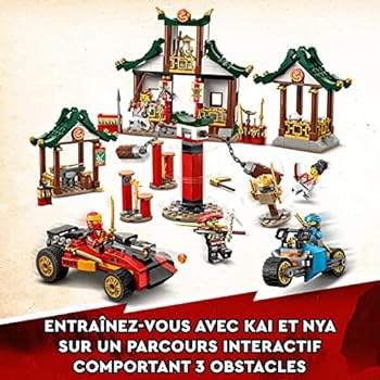 LEGO NINJAGO 71787 Creative Brick Box for Building an Obstacle