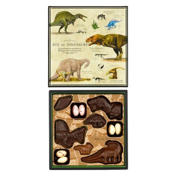 食品 ダイナソー チョコレートの空き箱