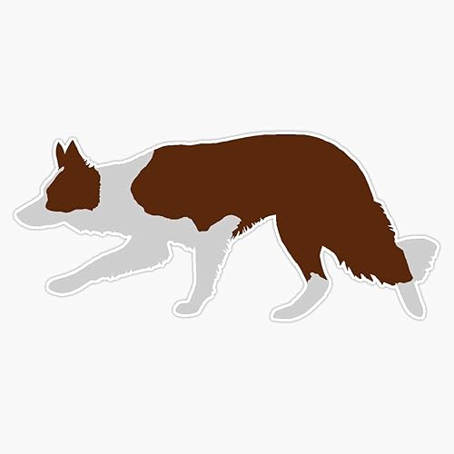 Border Collie - Calcomanía de vinilo impermeable (rojo y blanco) para coche, laptop, pared, ventana, 5 pulgadas